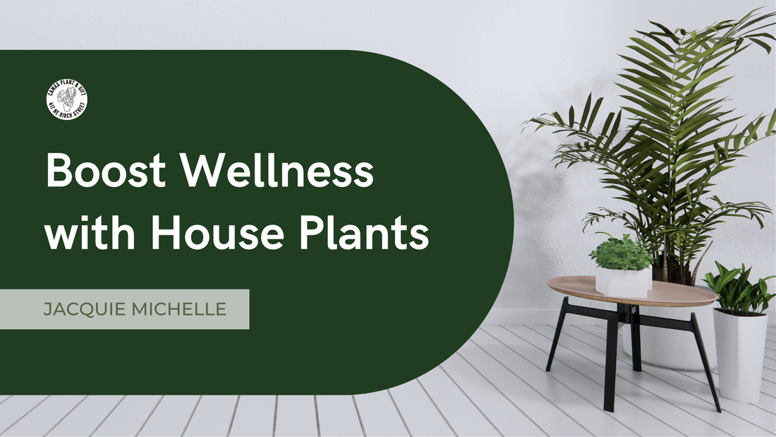 Discover the Health Benefits of Houseplants: Boost Wellness with Greenery