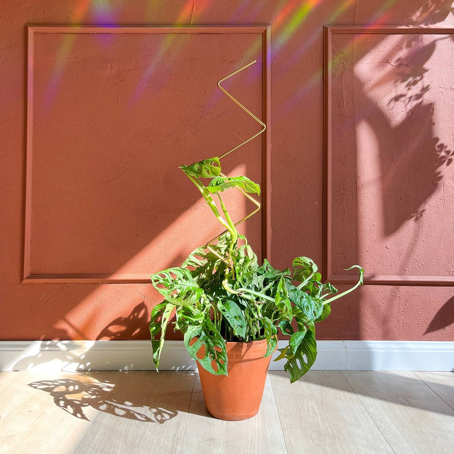 Golden plant stake from metal – ZigZag