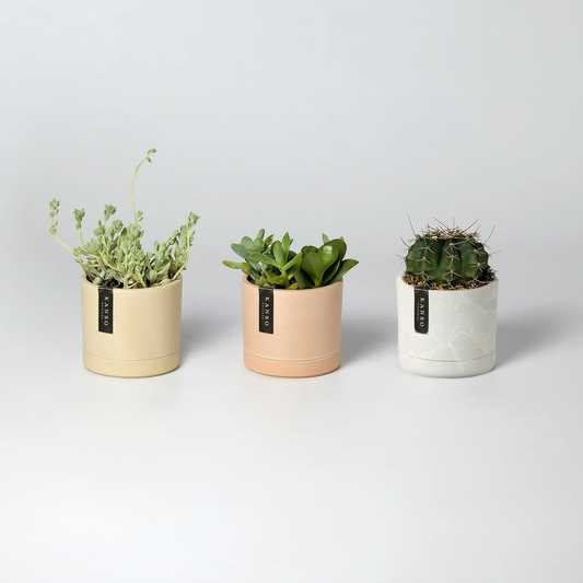 3.5" Earth Tone Mini Planters | 10 Colorways