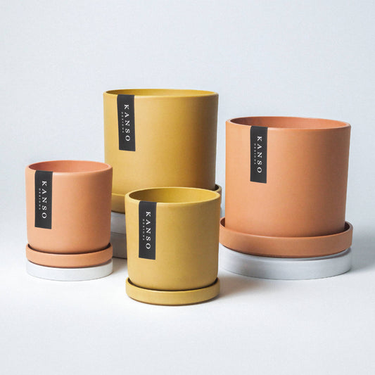 7” Mustard Seed Planters & Saucers