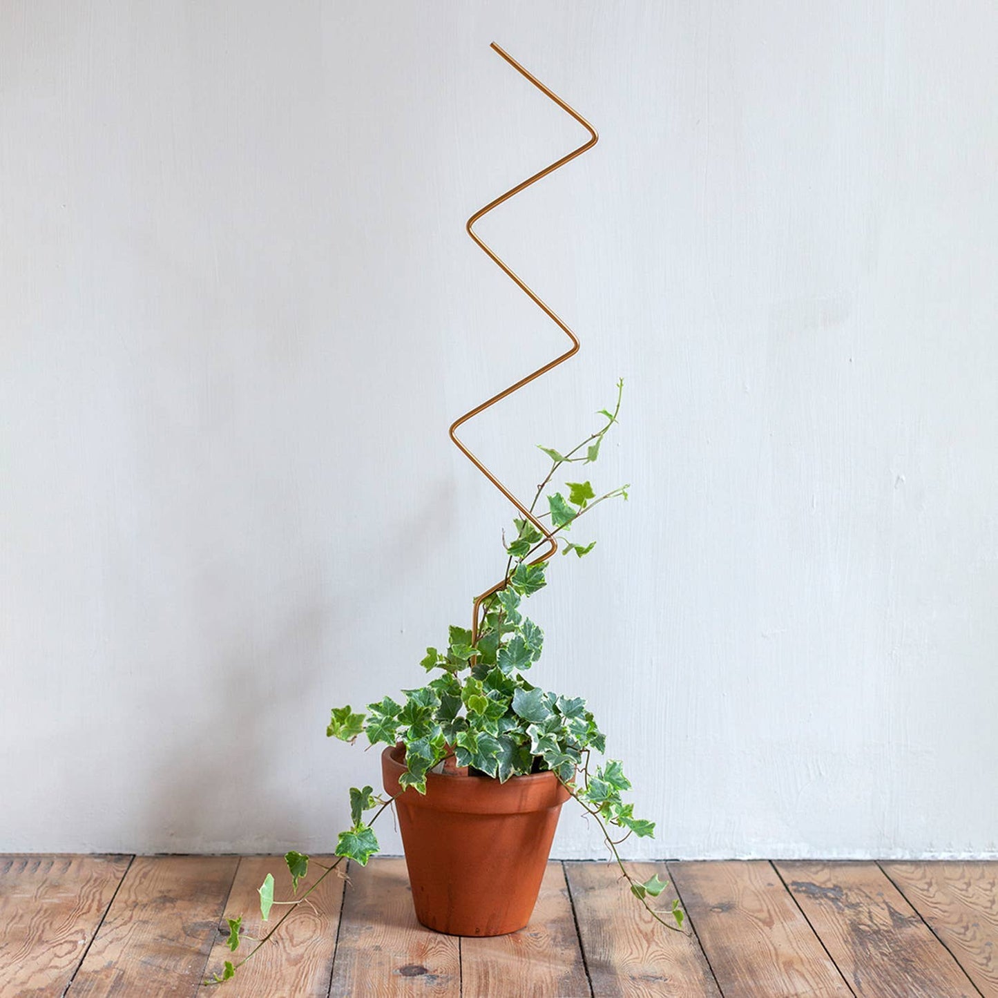 Golden plant stake from metal – ZigZag
