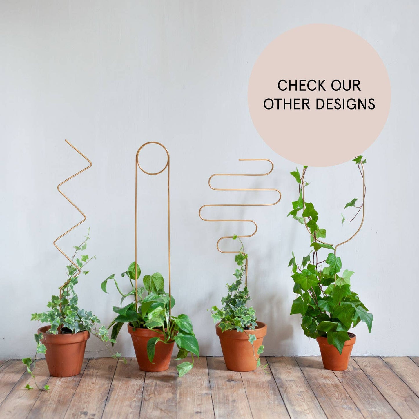 Golden plant stake from metal – ZigZag