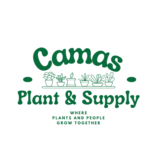 Camas Plant & Gift