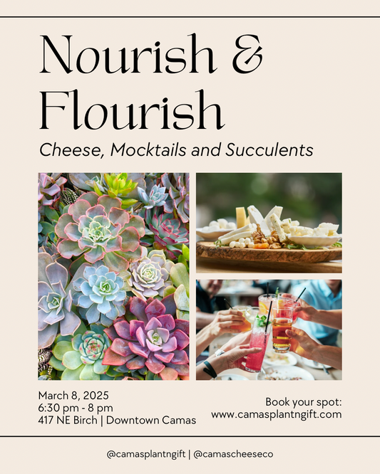 Nourish & Flourish : Cheese, Mocktails and Succulents