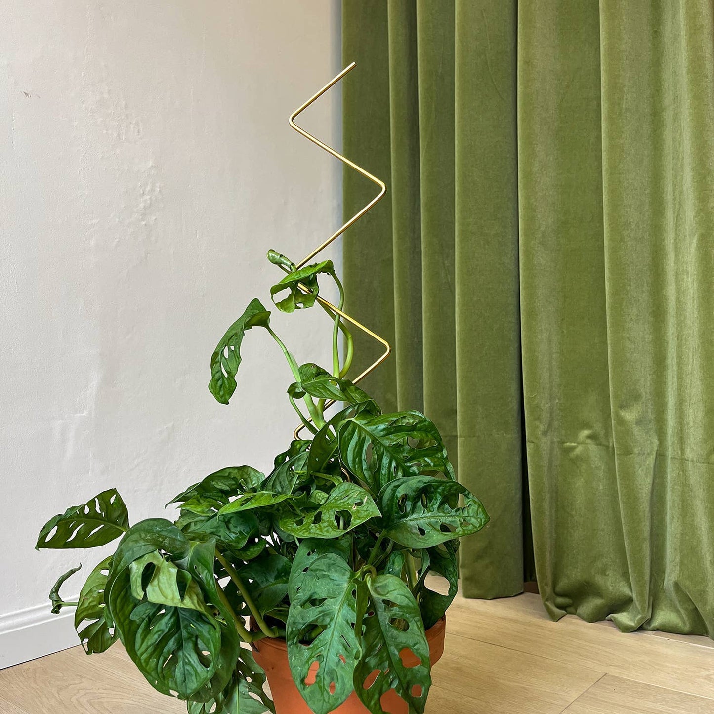 Golden plant stake from metal – ZigZag